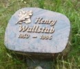 Grab Henry Wallstab
2011